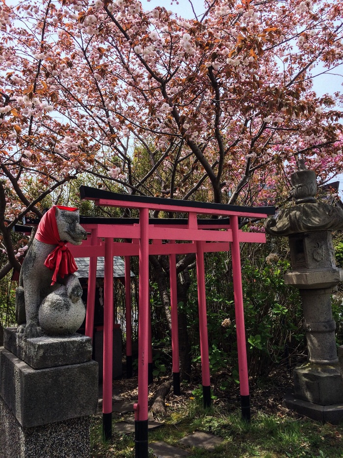 大森稲荷神社_f0137097_1814133.jpg