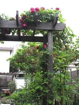 c0117898_10221920.jpg