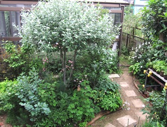 c0117898_10294525.jpg