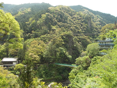 f0308898_1002825.jpg