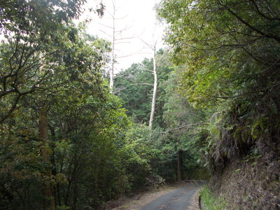 f0308898_10131697.jpg