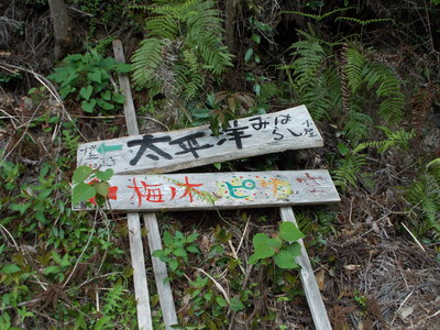 f0308898_10132944.jpg