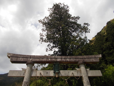 f0308898_10153159.jpg
