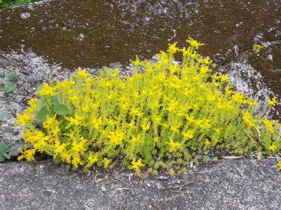 f0308898_10164536.jpg