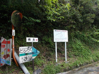 f0308898_1016759.jpg