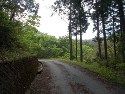 f0308898_1061026.jpg