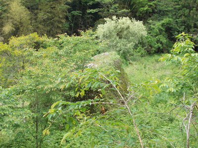 f0308898_1065947.jpg
