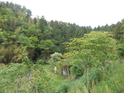 f0308898_1071482.jpg