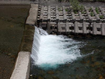 f0308898_9552892.jpg
