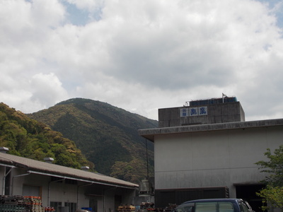f0308898_955437.jpg