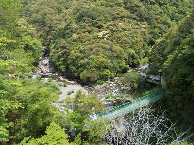 f0308898_959013.jpg
