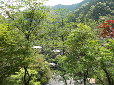 f0308898_9591597.jpg
