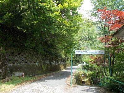 f0308898_9592772.jpg
