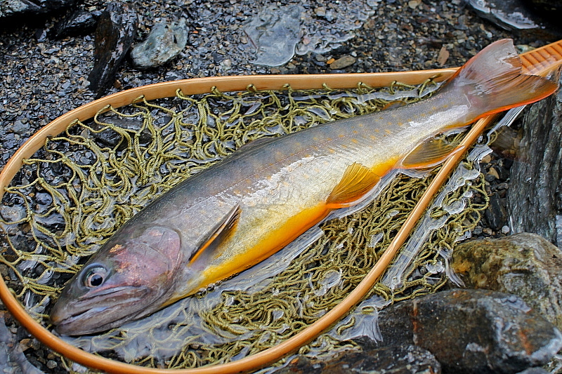 c0339900_11355524.jpg