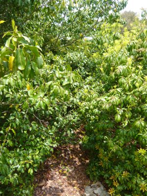 c0024502_22288.jpg
