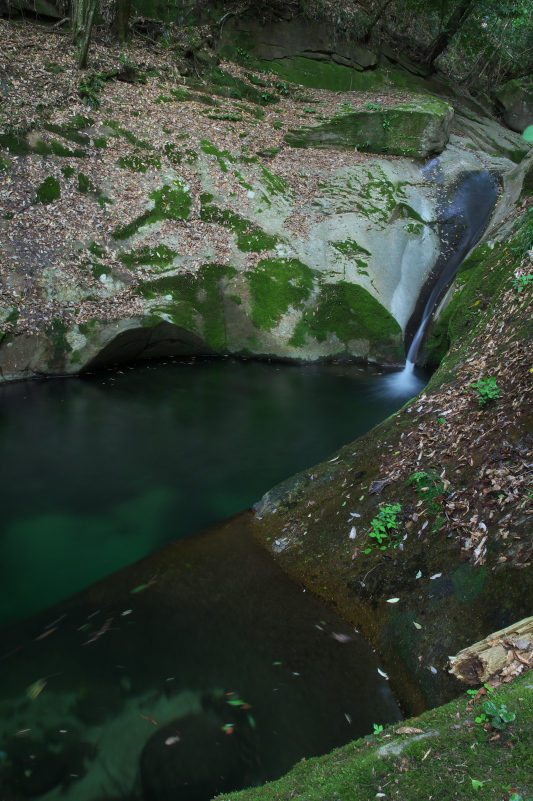 c0043403_22271637.jpg