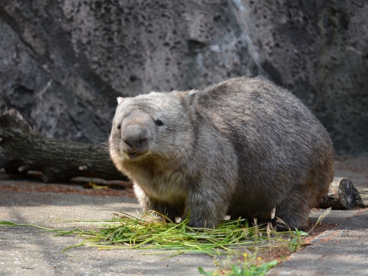 ヒロキと連休の終わり_a0164204_11400192.jpg