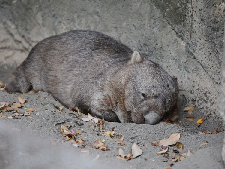 ヒロキと連休の終わり_a0164204_13545946.jpg