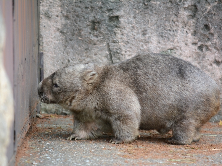 ヒロキと連休の終わり_a0164204_14130834.jpg