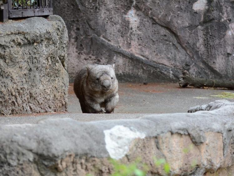 ヒロキと連休の終わり_a0164204_16291096.jpg