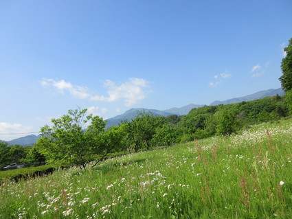 初夏の宮ヶ瀬2015(草抜き奮闘記^^)_c0212604_20404549.jpg