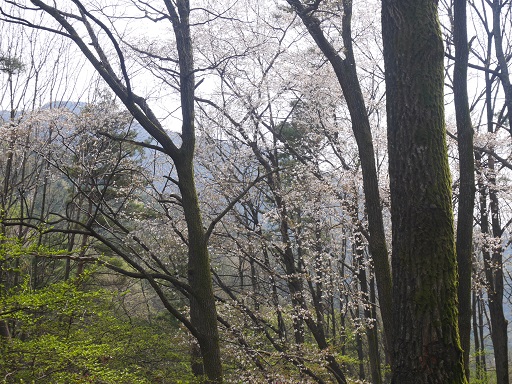 a0140305_158489.jpg