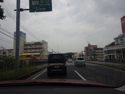 20日大根種まきしました～_c0280206_5431064.jpg