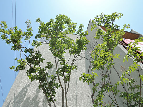d0168406_6442540.jpg