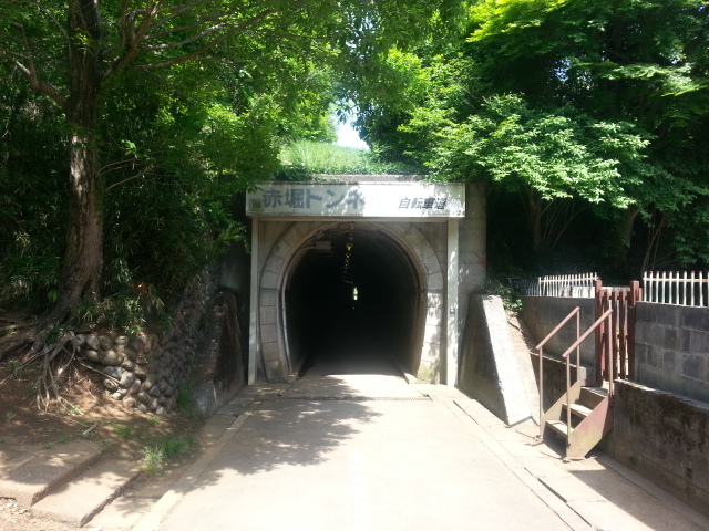 5/3　春の羽村山口軽便鉄道廃線跡ウォーキングVol.1_b0042308_042524.jpg