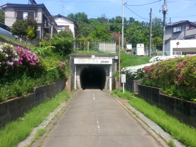 5/3　春の羽村山口軽便鉄道廃線跡ウォーキングVol.1_b0042308_071063.jpg