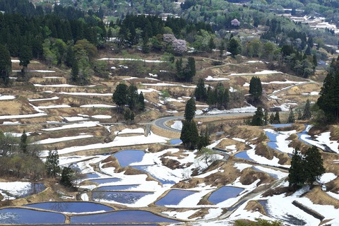 b0229909_825051.jpg