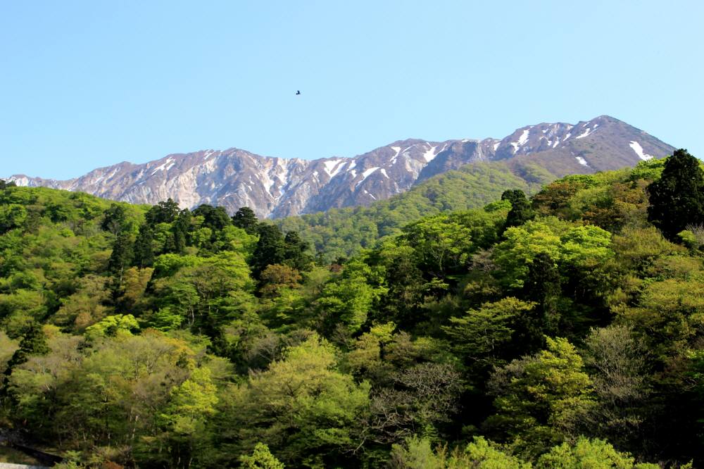 GW初日の大山登山 : 休日の山登り