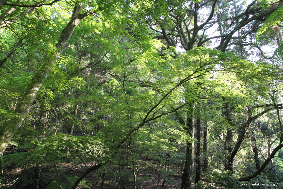 c0189013_6505840.jpg