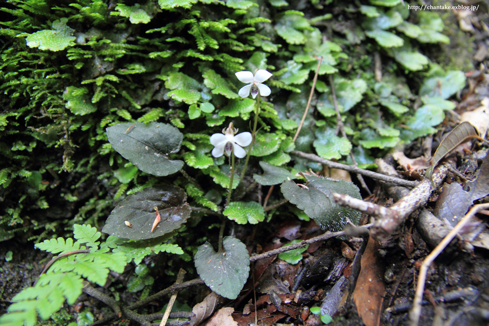 c0189013_7275522.jpg