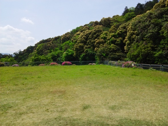 e0033713_19461280.jpg