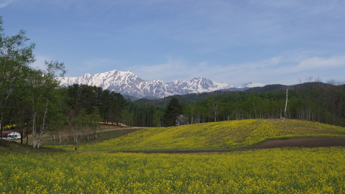 再生！中山高原の菜の花畑_f0233414_21285020.jpg