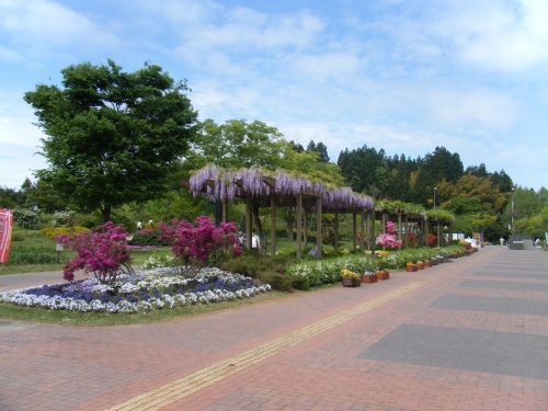 f0351315_09425513.jpg
