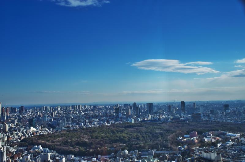 東京都庁の眺望は・・・_c0158519_19201637.jpg