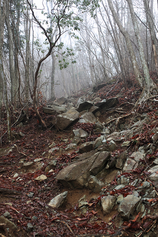 富士山を探して　毛無山（天子山地）_c0369219_19361857.jpg