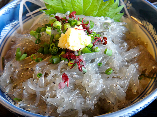 江ノ島 生しらす丼ラン_e0153022_17515960.jpg