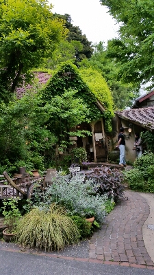 f0217723_0212474.jpg