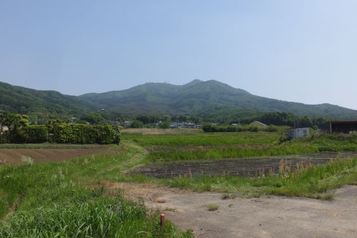 a0166324_16402090.jpg