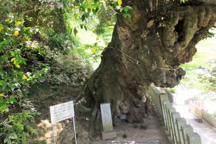 a0166324_17192524.jpg