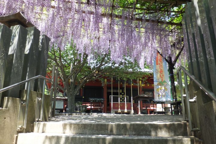 a0166324_1727720.jpg
