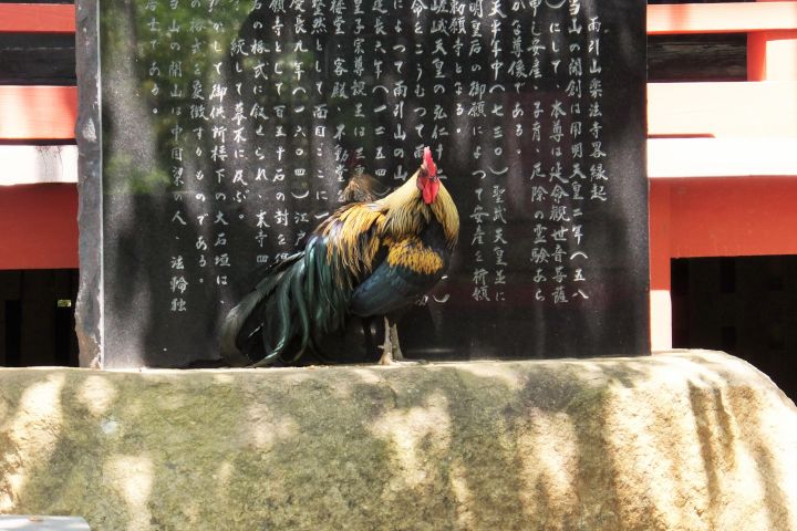 a0166324_17482631.jpg