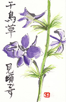 絵手紙 時計草 おばちゃん遍路1人旅