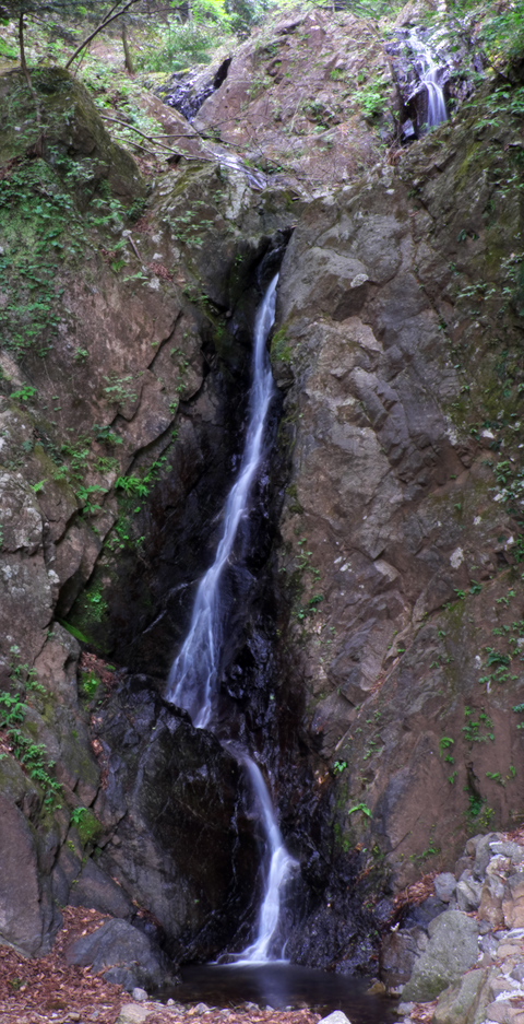 c0167028_09312.jpg
