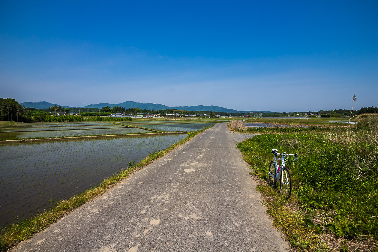 新緑の筑波を楽しむ　その2_b0295234_756010.jpg