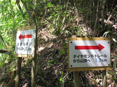 ツツジ満開　　葛城山かつらぎさん（９５９ｍ）_c0077338_20182488.jpg