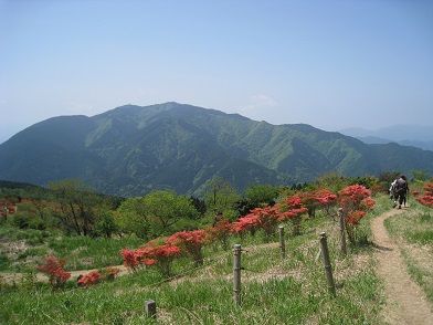 c0077338_20202062.jpg
